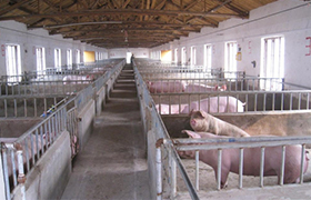 養(yǎng)殖場(chǎng)污水處理