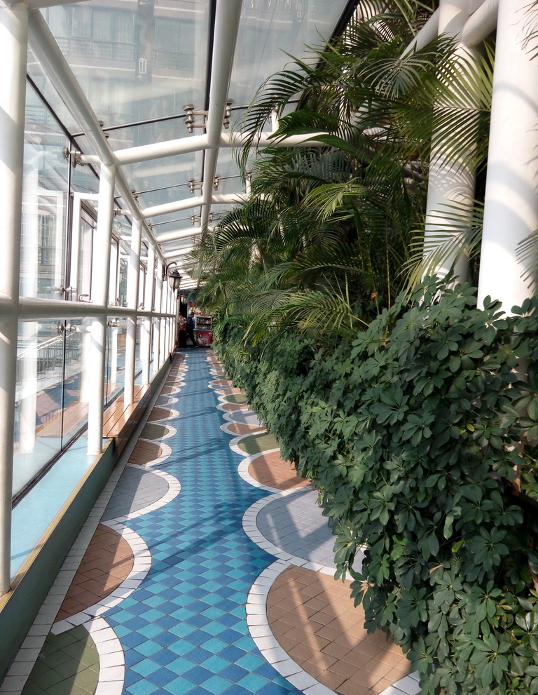室內過道景觀