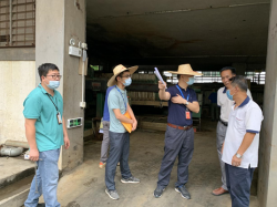 省市鎮(zhèn)聯(lián)合執(zhí)法，東莞嚴(yán)查環(huán)境違法行為