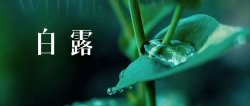 二十四節氣白露——小露珠奇遇記