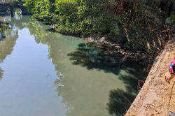 萬江：河涌現“綠水”，偷排企業被查處！